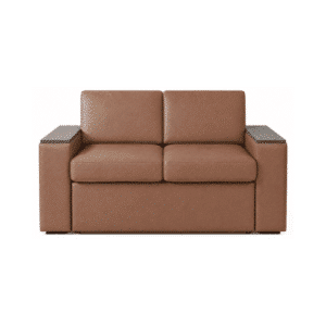 Moxi Leather Sleeper Couch