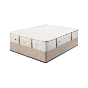 Sealy Cullinan Firm Queen with Standard Base